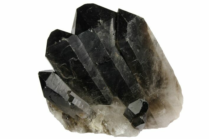 Dark Smoky Quartz Crystal Cluster - Brazil #136163